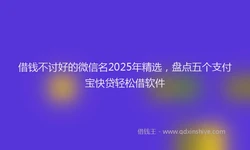 借钱不讨好的微信名2025年精选，盘点五个支付宝快贷轻松借软件