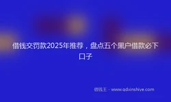 借钱交罚款2025年推荐，盘点五个黑户借款必下口子