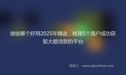 借钱哪个好用2025年精选，梳理5个黑户成功获取大额贷款的平台