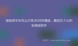 借钱用半年怎么打条2026年精选，概括五个公积金借钱软件