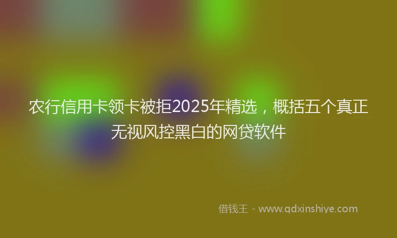 农行信用卡领卡被拒2025年精选，概括五个真正无视风控黑白的网贷软件