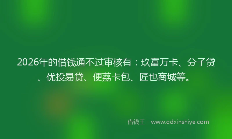 2026年的借钱通不过审核有:玖富万卡、分子贷、优投易贷、便荔卡包、匠也商城等。