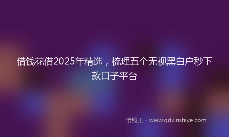 借钱花借2025年精选，梳理五个无视黑白户秒下款口子平台