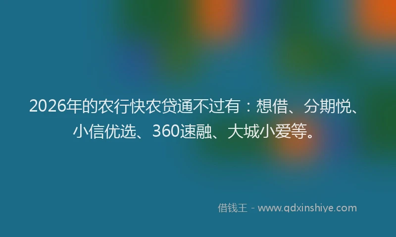 2026年的农行快农贷通不过有：想借、分期悦、小信优选、360速融、大城小爱等。
