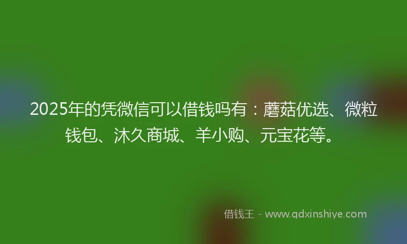 2025年的凭微信可以借钱吗有:蘑菇优选、微粒钱包、沐久商城、羊小购、元宝花等。