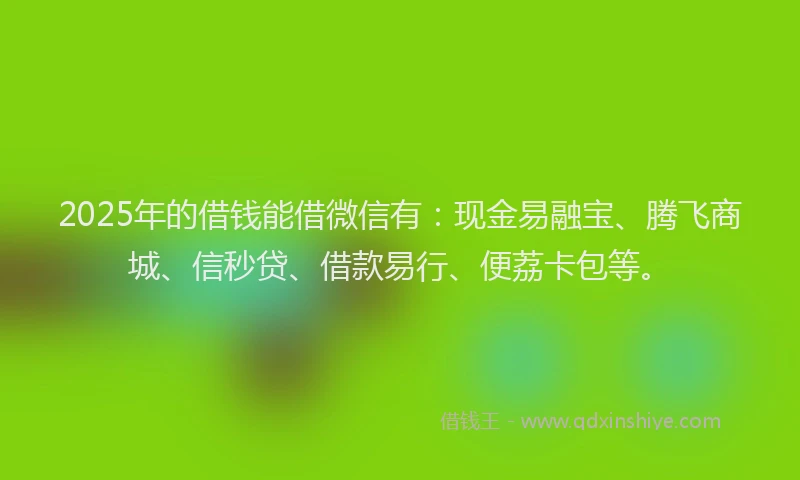 2025年的借钱能借微信有：现金易融宝、腾飞商城、信秒贷、借款易行、便荔卡包等。
