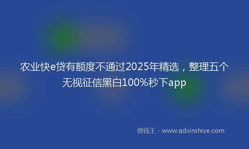 农业快e贷有额度不通过2025年精选，整理五个无视征信黑白100%秒下app