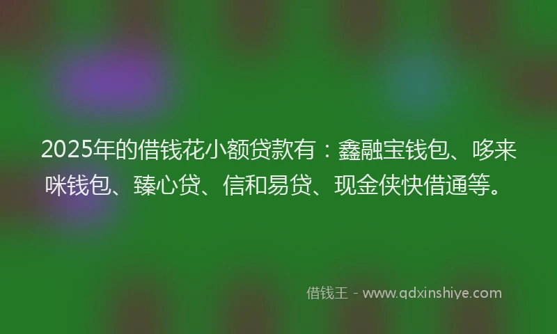 2025年的借钱花小额贷款有：鑫融宝钱包、哆来咪钱包、臻心贷、信和易贷、现金侠快借通等。
