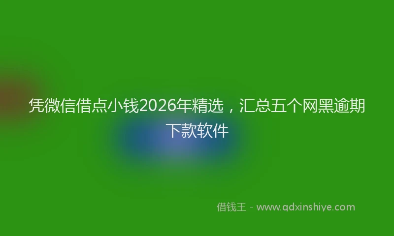 凭微信借点小钱2026年精选，汇总五个网黑逾期下款软件