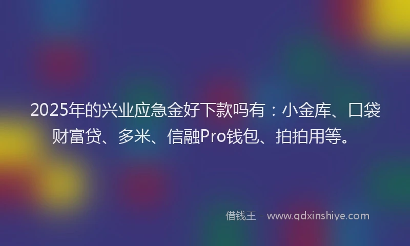 2025年的兴业应急金好下款吗有：小金库、口袋财富贷、多米、信融Pro钱包、拍拍用等。