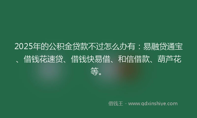 2025年的公积金贷款不过怎么办有：易融贷通宝、借钱花速贷、借钱快易借、和信借款、葫芦花等。