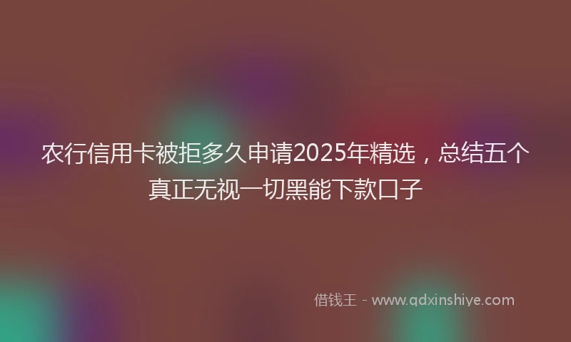 农行信用卡被拒多久申请2025年精选，总结五个真正无视一切黑能下款口子