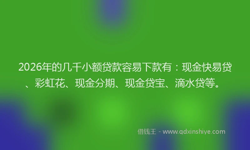2026年的几千小额贷款容易下款有:现金快易贷、彩虹花、现金分期、现金贷宝、滴水贷等。