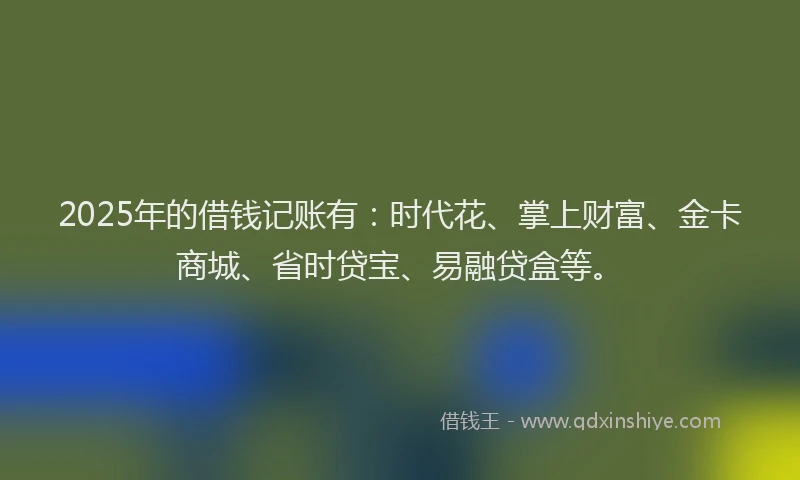 2025年的借钱记账有：时代花、掌上财富、金卡商城、省时贷宝、易融贷盒等。