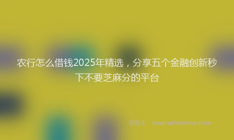 农行怎么借钱2025年精选，分享五个金融创新秒下不要芝麻分的平台