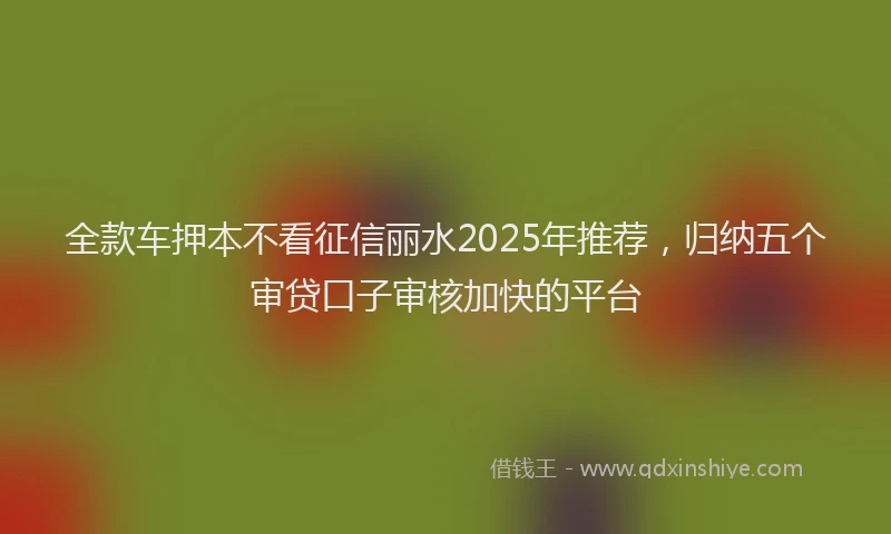 全款车押本不看征信丽水2025年推荐，归纳五个审贷口子审核加快的平台