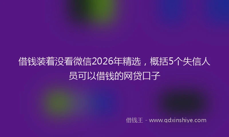 借钱装着没看微信2026年精选，概括5个失信人员可以借钱的网贷口子