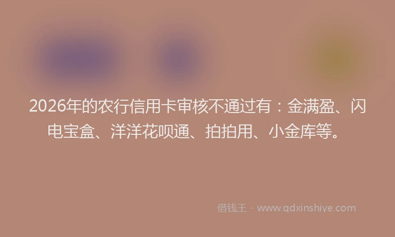 2026年的农行信用卡审核不通过有：金满盈、闪电宝盒、洋洋花呗通、拍拍用、小金库等。