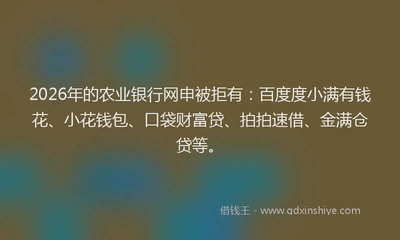 2026年的农业银行网申被拒有：百度度小满有钱花、小花钱包、口袋财富贷、拍拍速借、金满仓贷等。