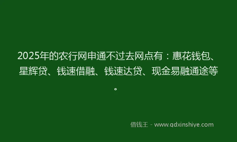 2025年的农行网申通不过去网点有：惠花钱包、星辉贷、钱速借融、钱速达贷、现金易融通途等。