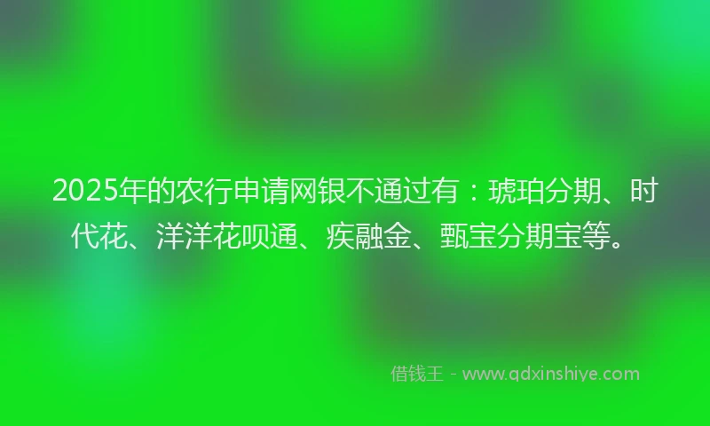 2025年的农行申请网银不通过有：琥珀分期、时代花、洋洋花呗通、疾融金、甄宝分期宝等。