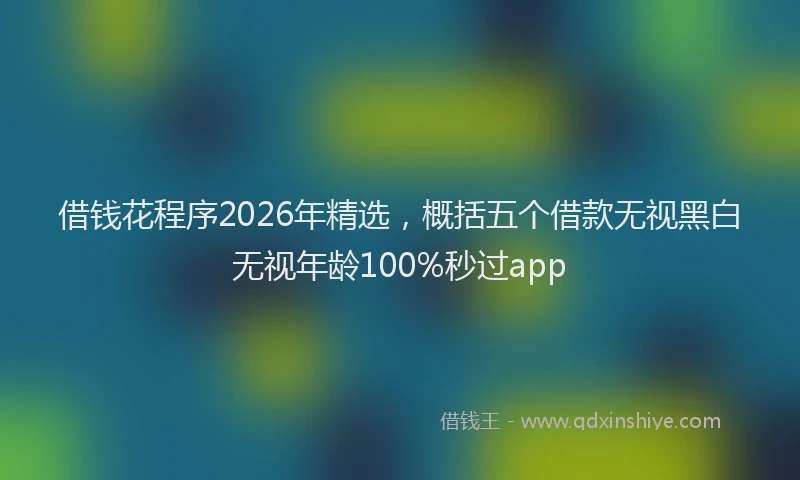 借钱花程序2026年精选,概括五个借款无视黑白无视年龄100%秒过app