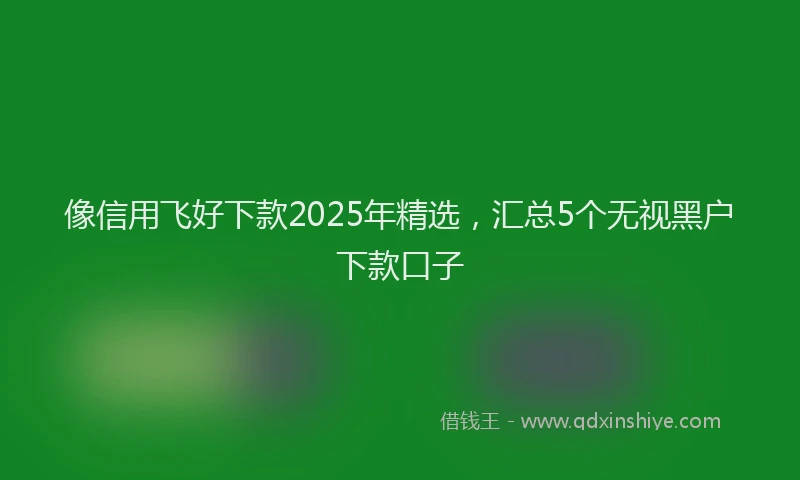 像信用飞好下款2025年精选，汇总5个无视黑户下款口子