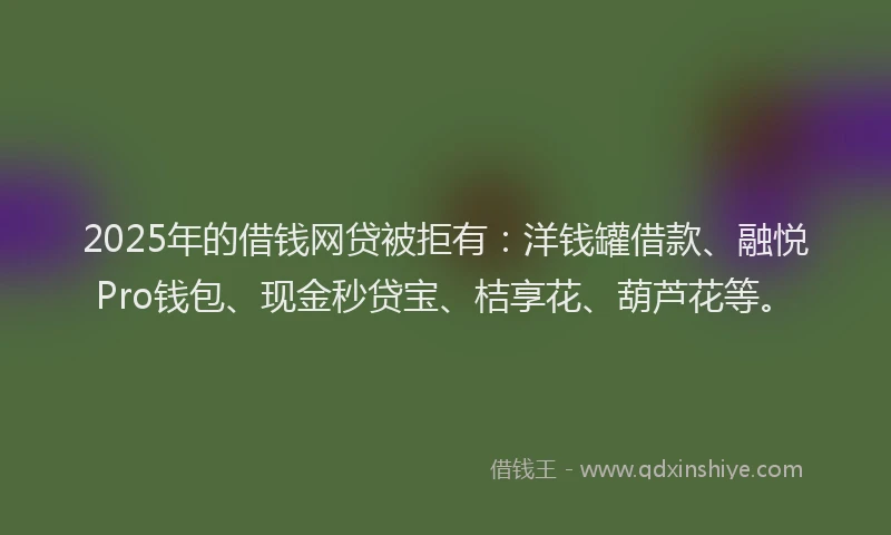 2025年的借钱网贷被拒有:洋钱罐借款、融悦Pro钱包、现金秒贷宝、桔享花、葫芦花等。