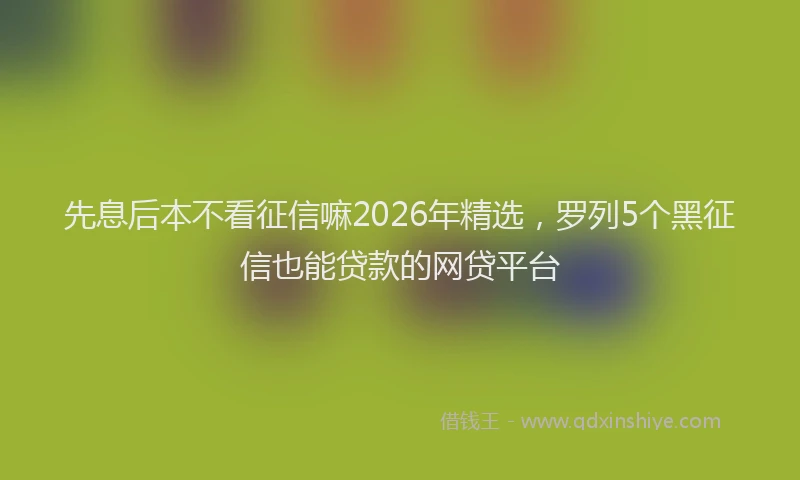 先息后本不看征信嘛2026年精选,罗列5个黑征信也能贷款的网贷平台
