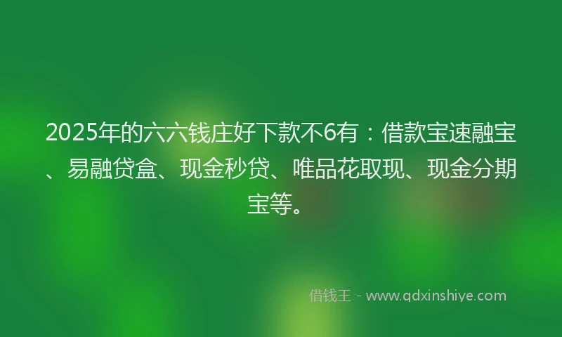 2025年的六六钱庄好下款不6有：借款宝速融宝、易融贷盒、现金秒贷、唯品花取现、现金分期宝等。
