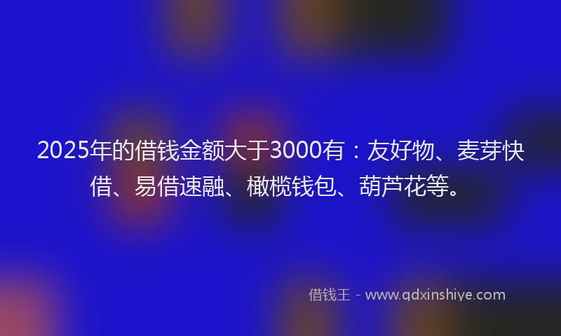 2025年的借钱金额大于3000有:友好物、麦芽快借、易借速融、橄榄钱包、葫芦花等。