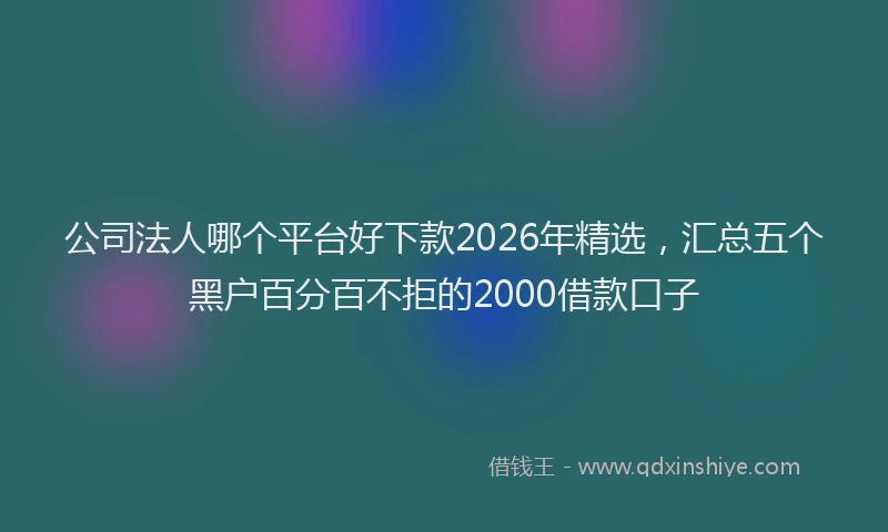 公司法人哪个平台好下款2026年精选，汇总五个黑户百分百不拒的2000借款口子