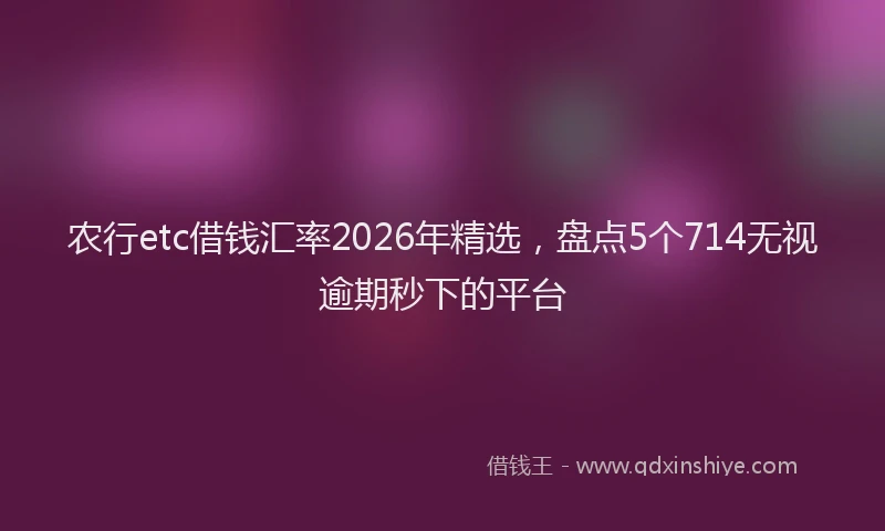 农行etc借钱汇率2026年精选，盘点5个714无视逾期秒下的平台