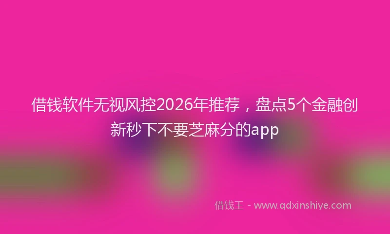 借钱软件无视风控2026年推荐,盘点5个金融创新秒下不要芝麻分的app
