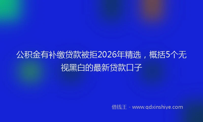 公积金有补缴贷款被拒2026年精选,概括5个无视黑白的最新贷款口子