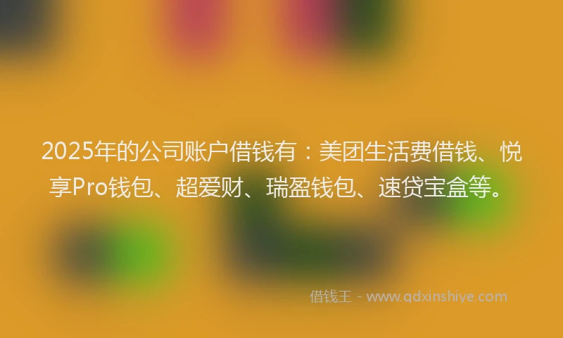 2025年的公司账户借钱有：美团生活费借钱、悦享Pro钱包、超爱财、瑞盈钱包、速贷宝盒等。