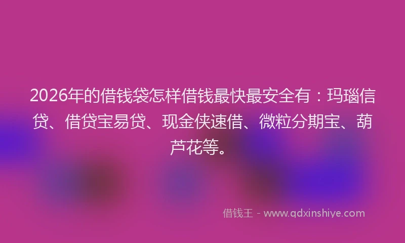 2026年的借钱袋怎样借钱最快最安全有：玛瑙信贷、借贷宝易贷、现金侠速借、微粒分期宝、葫芦花等。