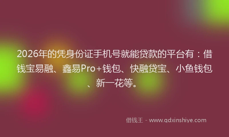 2026年的凭身份证手机号就能贷款的平台有:借钱宝易融、鑫易Pro+钱包、快融贷宝、小鱼钱包、新一花等。