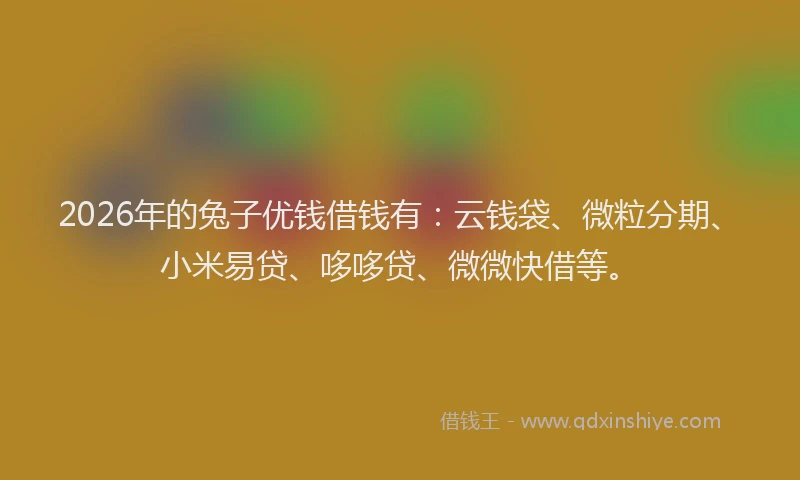 2026年的兔子优钱借钱有：云钱袋、微粒分期、小米易贷、哆哆贷、微微快借等。