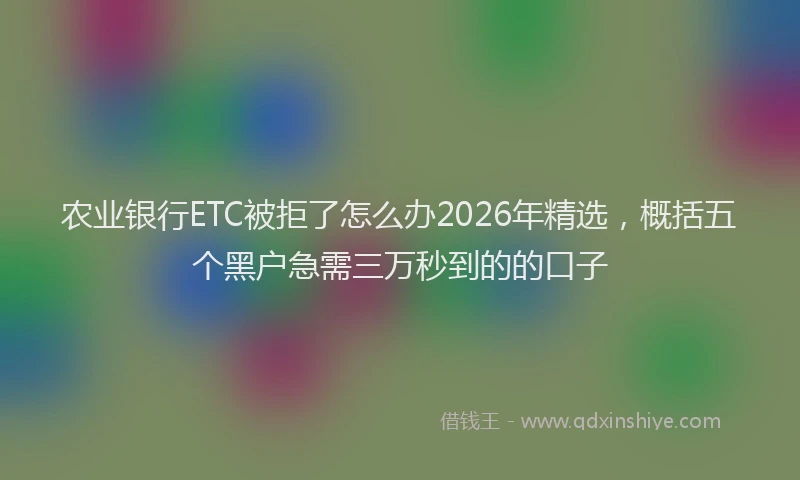农业银行ETC被拒了怎么办2026年精选，概括五个黑户急需三万秒到的的口子