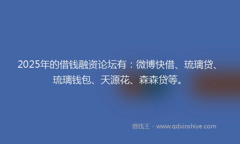 2025年的借钱融资论坛有：微博快借、琉璃贷、琉璃钱包、天源花、森森贷等。