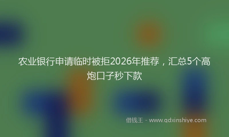 农业银行申请临时被拒2026年推荐，汇总5个高炮口子秒下款