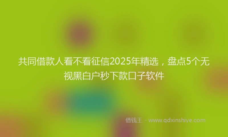 共同借款人看不看征信2025年精选,盘点5个无视黑白户秒下款口子软件