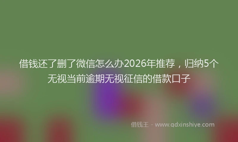 借钱还了删了微信怎么办2026年推荐，归纳5个无视当前逾期无视征信的借款口子