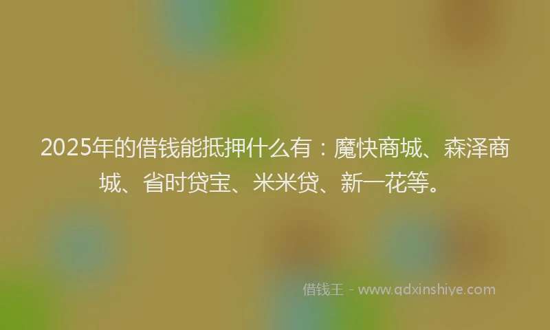 2025年的借钱能抵押什么有：魔快商城、森泽商城、省时贷宝、米米贷、新一花等。