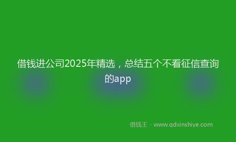 借钱进公司2025年精选，总结五个不看征信查询的app