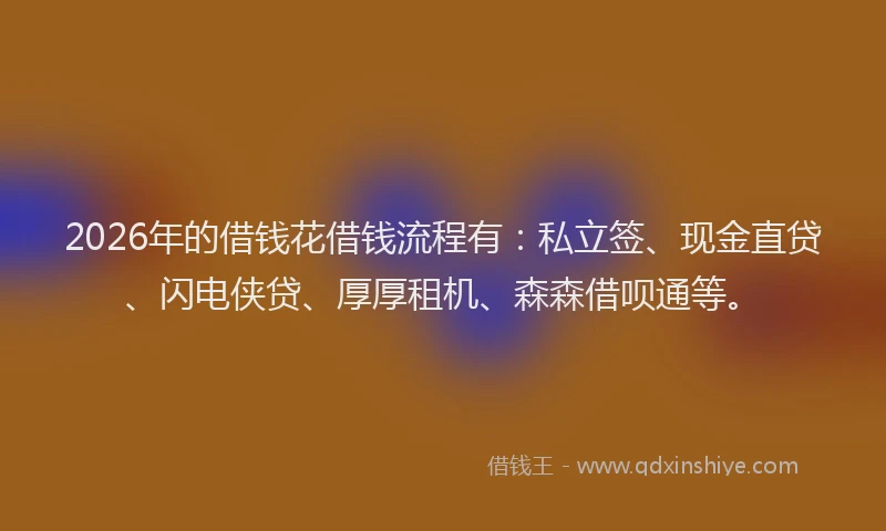 2026年的借钱花借钱流程有：私立签、现金直贷、闪电侠贷、厚厚租机、森森借呗通等。