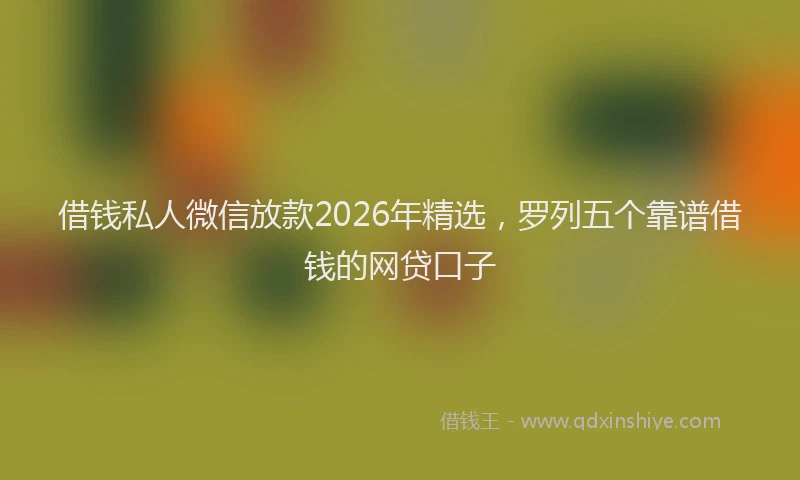 借钱私人微信放款2026年精选，罗列五个靠谱借钱的网贷口子