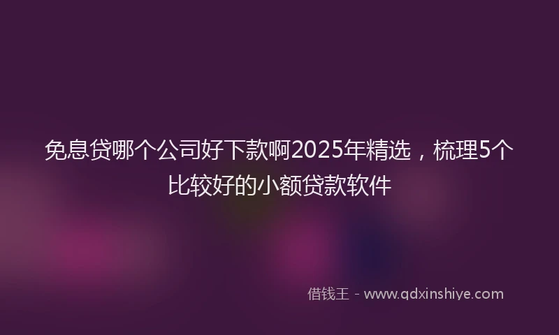 免息贷哪个公司好下款啊2025年精选，梳理5个比较好的小额贷款软件