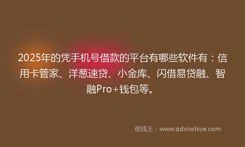 2025年的凭手机号借款的平台有哪些软件有：信用卡管家、洋葱速贷、小金库、闪借易贷融、智融Pro+钱包等。